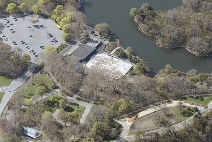 wollman rink: wollman rink